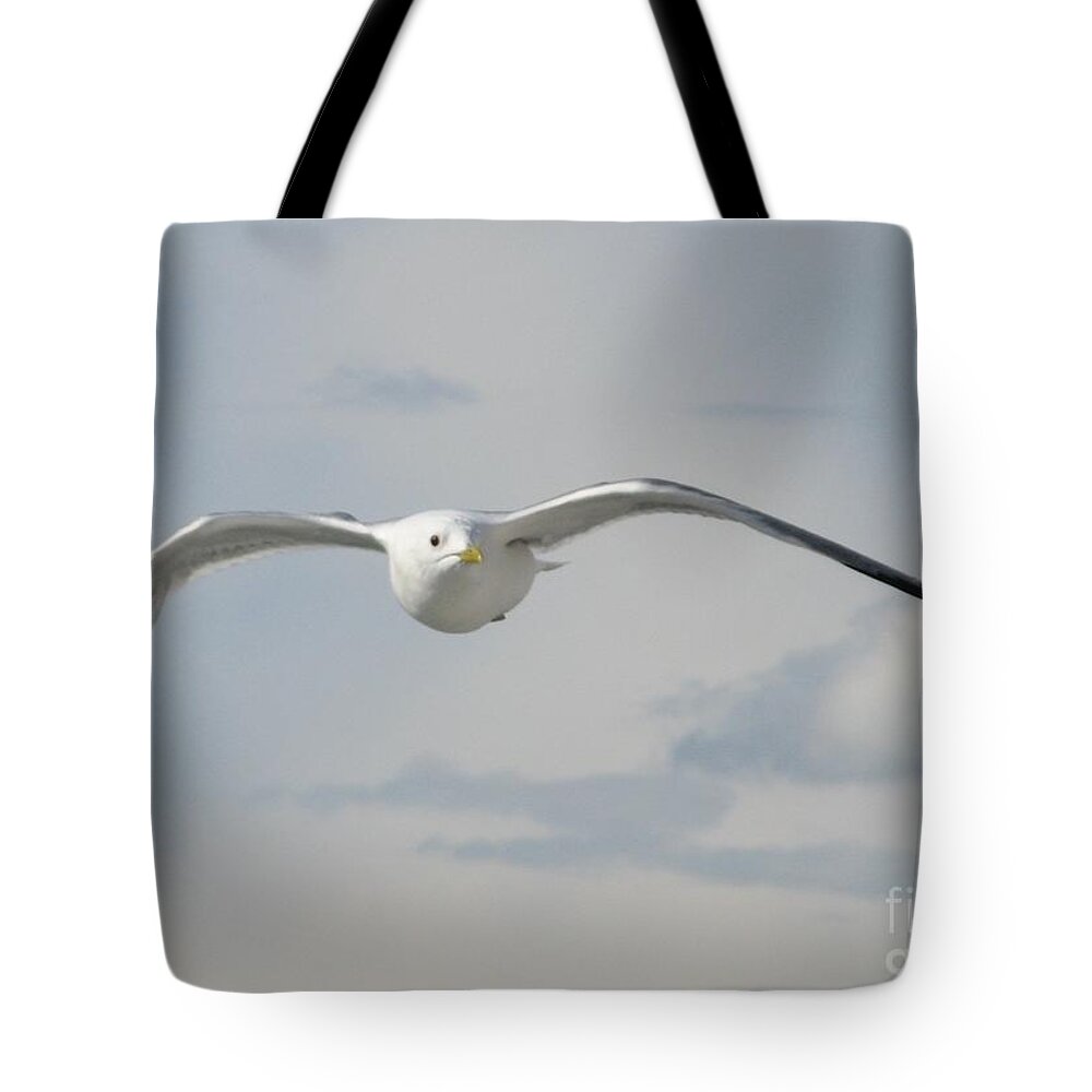 Bird Tote Bag featuring the photograph Gliding #1 by World Reflections By Sharon