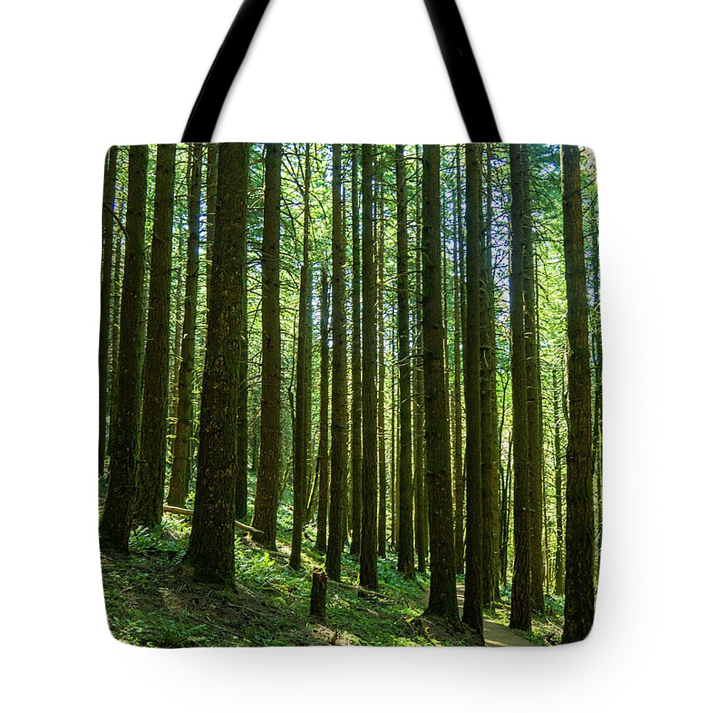 Columbia River Gorge Tote Bag featuring the photograph Go Take A Hike by Leslie Struxness