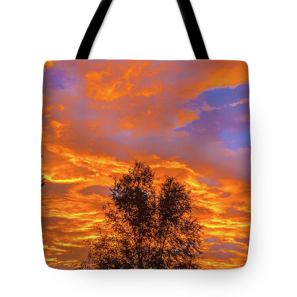 Sunrise Tote Bag featuring the photograph Golden Sunrise #1 by Robert Bales
