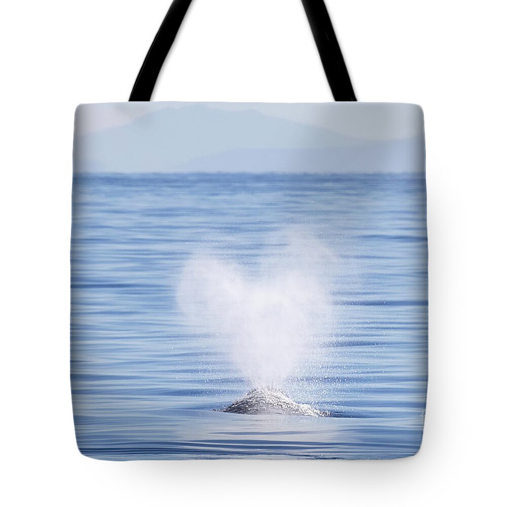 Tote Bag featuring the photograph Gray Whale Heart-Shaped Spout #1 by Loriannah Hespe
