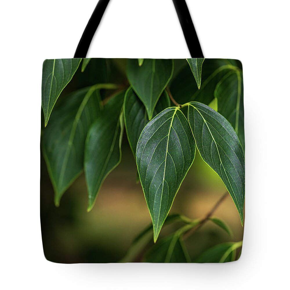 Leaf Tote Bag featuring the photograph Green Leaves #1 by Amelia Pearn