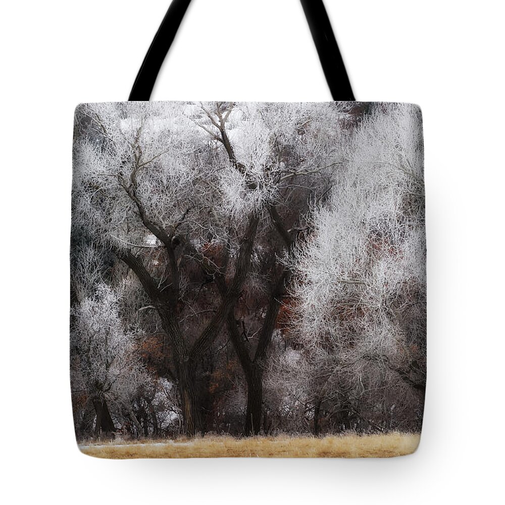 Co Tote Bag featuring the photograph Hoar Frost #2 by Doug Wittrock