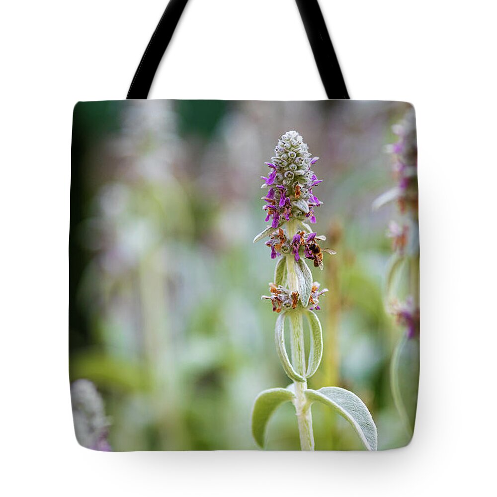 Flower Tote Bag featuring the photograph Honey Bee on Flower #1 by Amelia Pearn