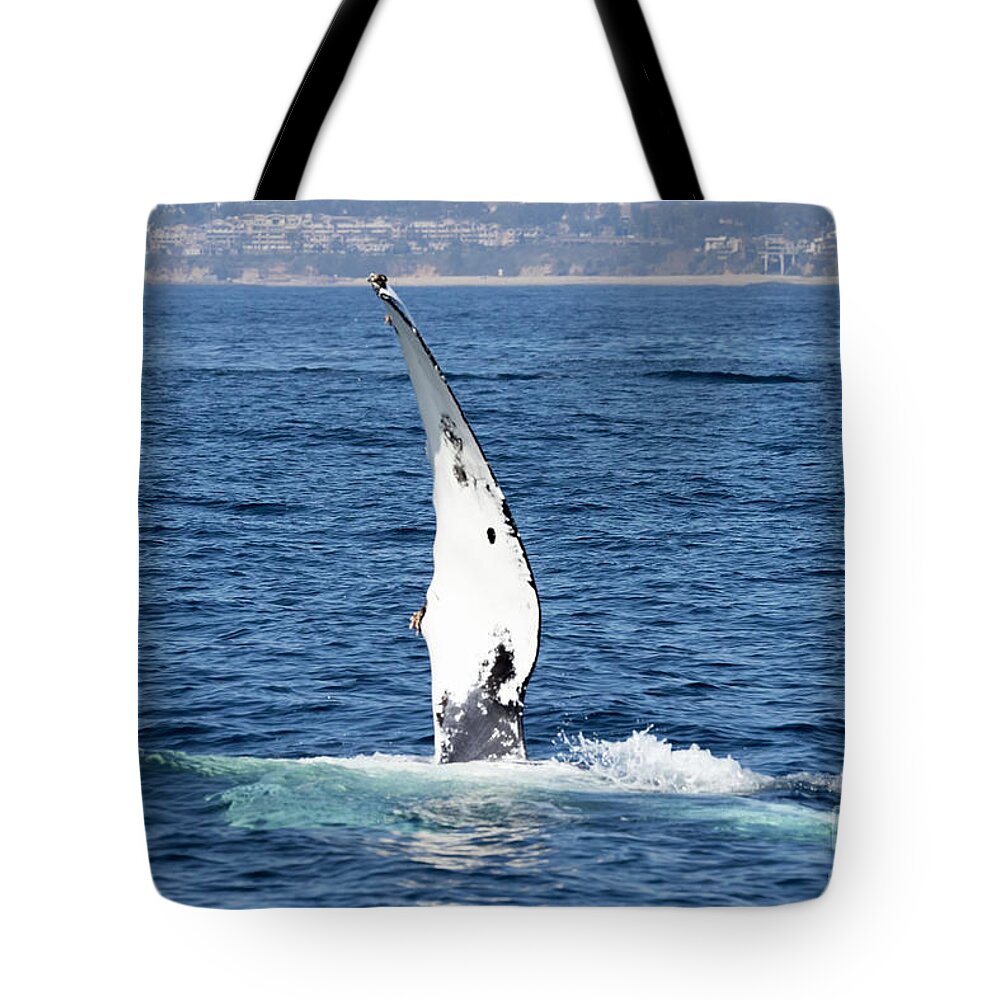 Humpback Whale Tote Bag featuring the photograph Humpback Whale Pectoral Fin #1 by Loriannah Hespe