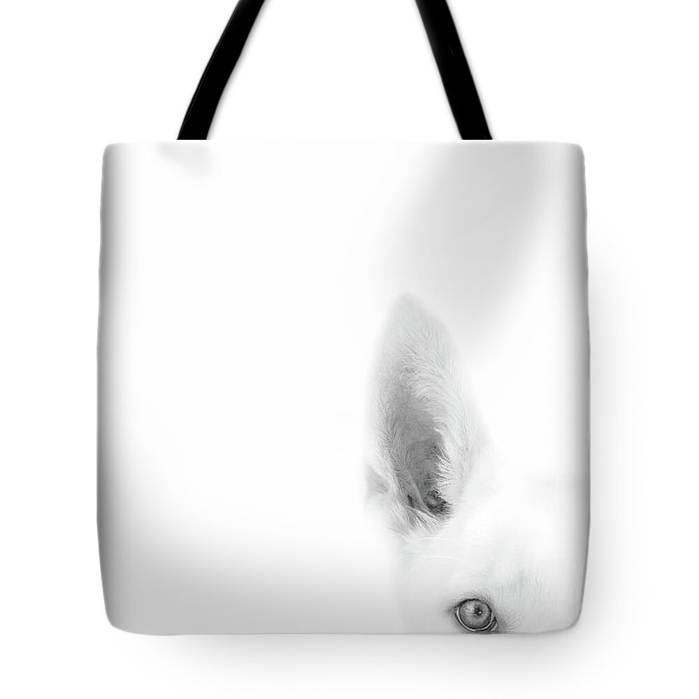 Dog Tote Bag featuring the photograph I'm Listening #1 by Ghostwinds Photography