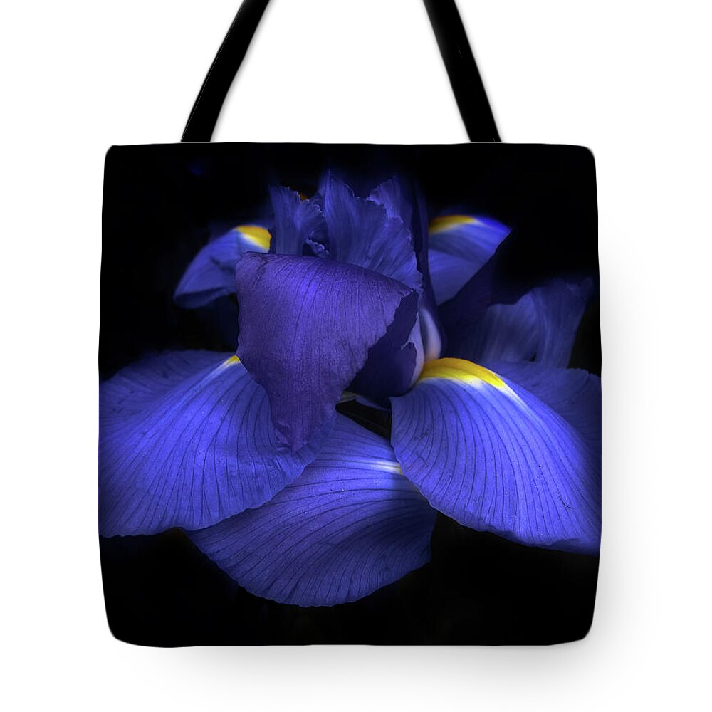 Flowers Tote Bag featuring the photograph Iris by Jessica Jenney