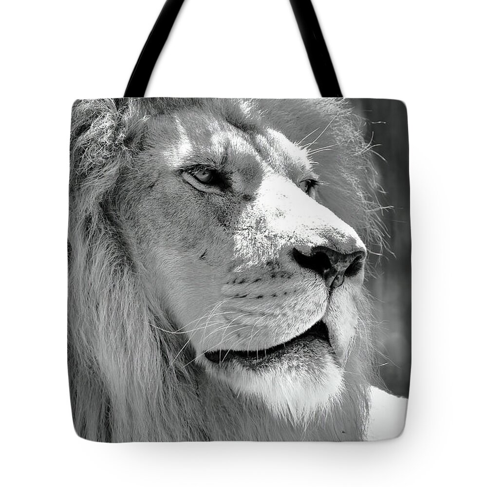 Lion Tote Bag featuring the photograph Is This My Good Side by Lens Art Photography By Larry Trager