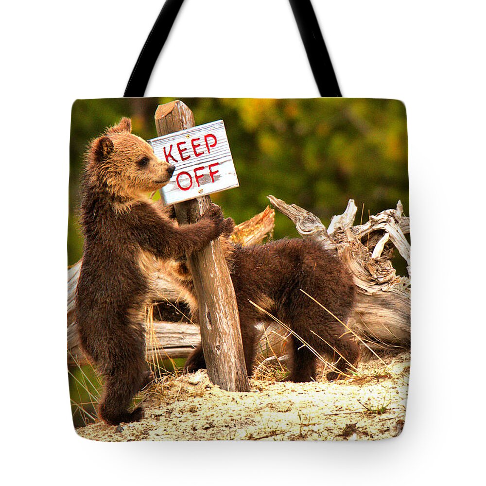  Tote Bag featuring the photograph Keep Off Mask #2 by Adam Jewell