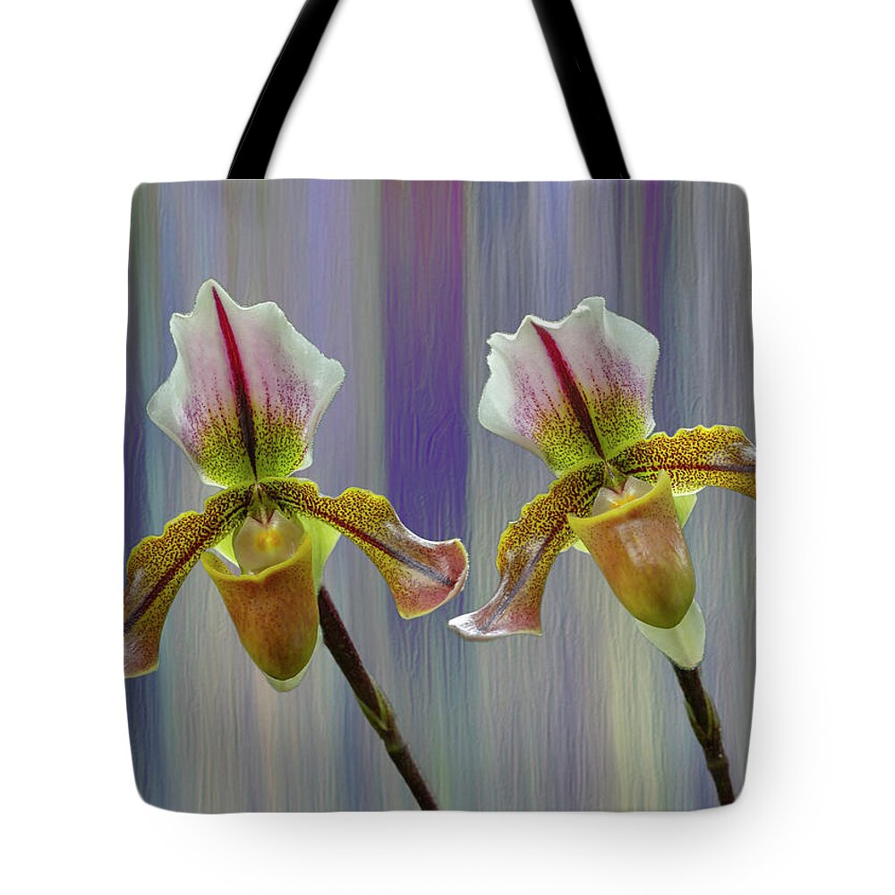 Lady Slipper Orchid Tote Bag featuring the photograph Lady Slipper Orchid by Cate Franklyn