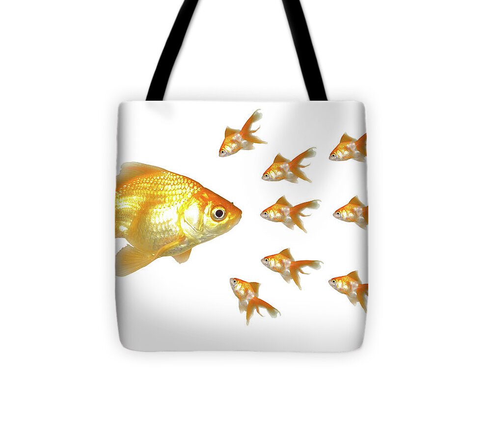 https://render.fineartamerica.com/images/rendered/default/tote-bag/images/artworkimages/medium/3/1-large-and-small-goldfishes-sam-lee.jpg?&targetx=-226&targety=0&imagewidth=924&imageheight=571&modelwidth=571&modelheight=571&backgroundcolor=CAA159&orientation=0&producttype=totebag-13-13