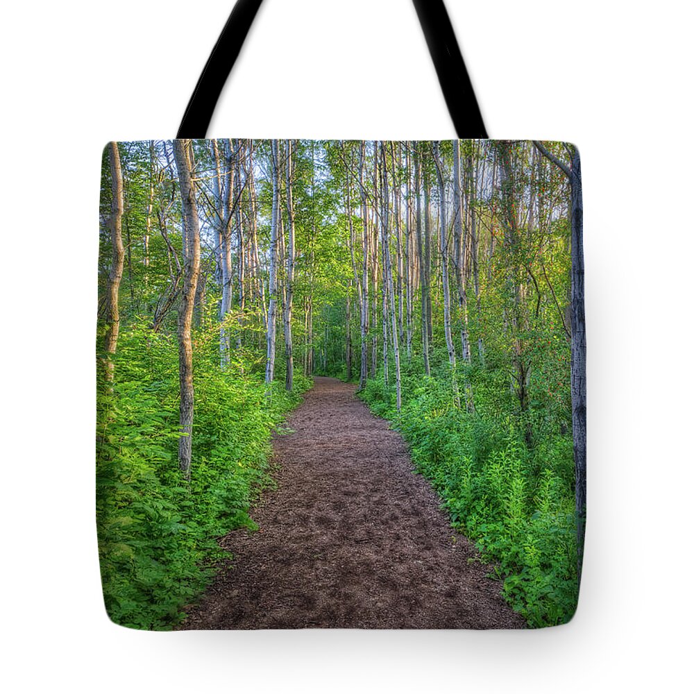 Path Tote Bag featuring the photograph Lead the Way by Brad Bellisle