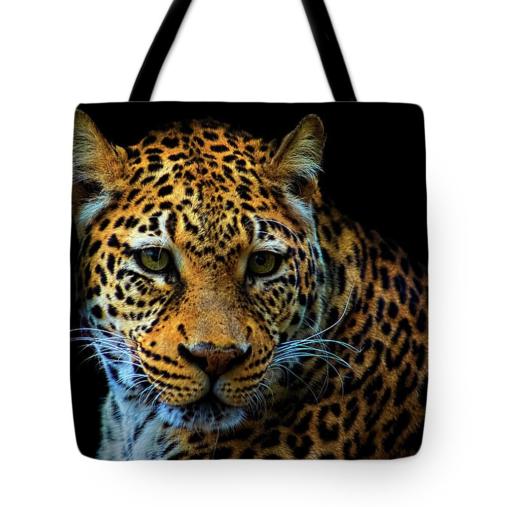 Animal Tote Bag featuring the photograph Leopard On Black by Ron Grafe