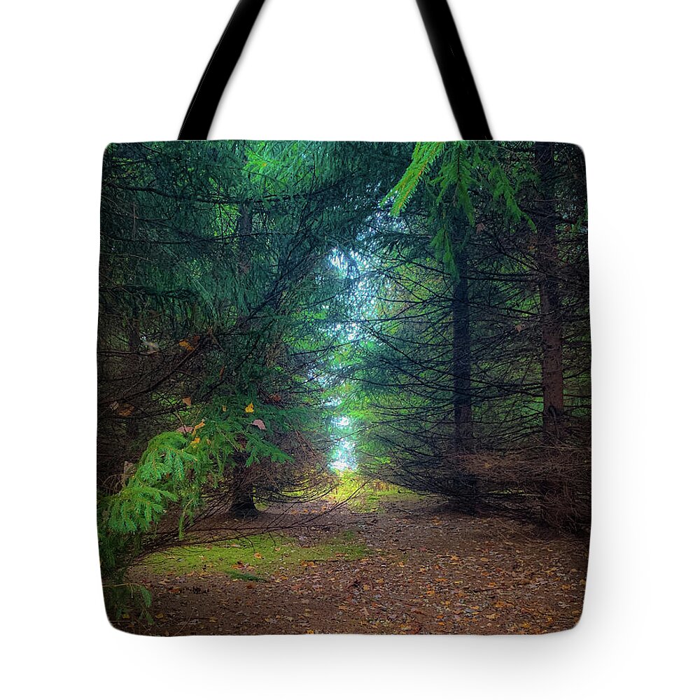 Fall Tote Bag featuring the photograph Light at the End by Lora J Wilson