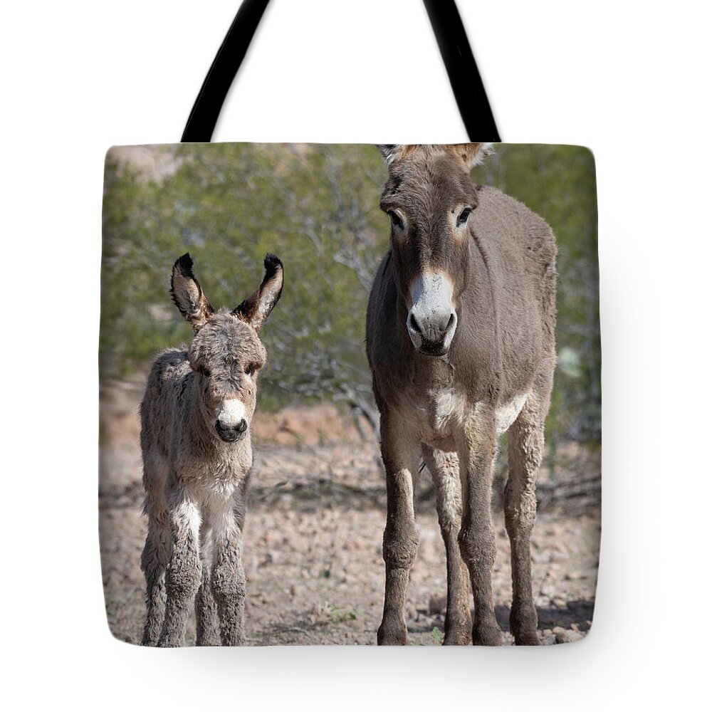 Wild Burros Tote Bag featuring the photograph Like Mom by Mary Hone