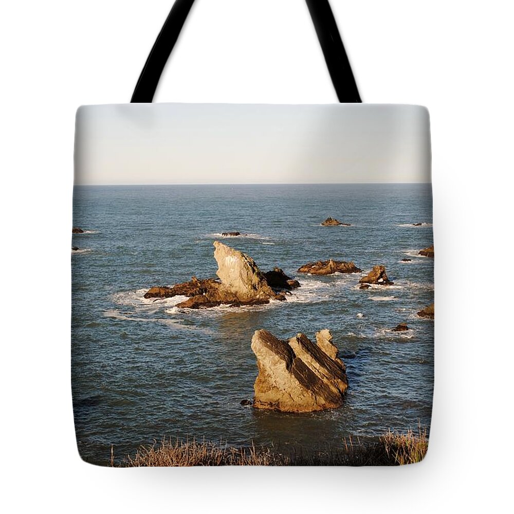 Coast Tote Bag featuring the photograph Looking West #1 by Steven Wills