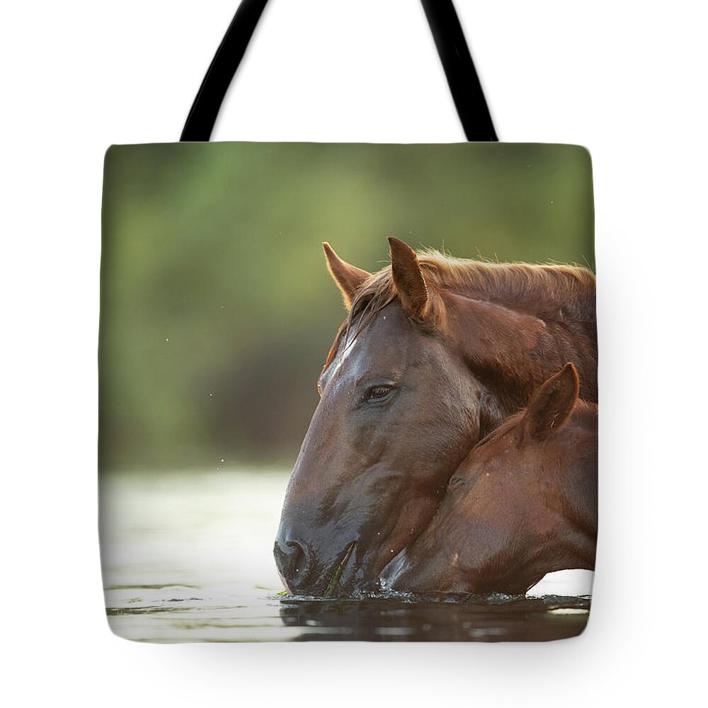 Salt River Wild Horses Tote Bag featuring the photograph Love #1 by Shannon Hastings