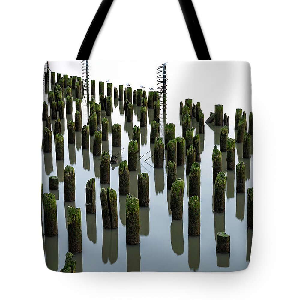 Hudson River Tote Bag featuring the photograph Low tide, at dusk by Kevin Suttlehan