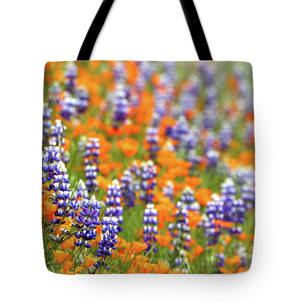 Lupine Tote Bag featuring the photograph Lupines and Poppies #1 by Vivian Krug Cotton