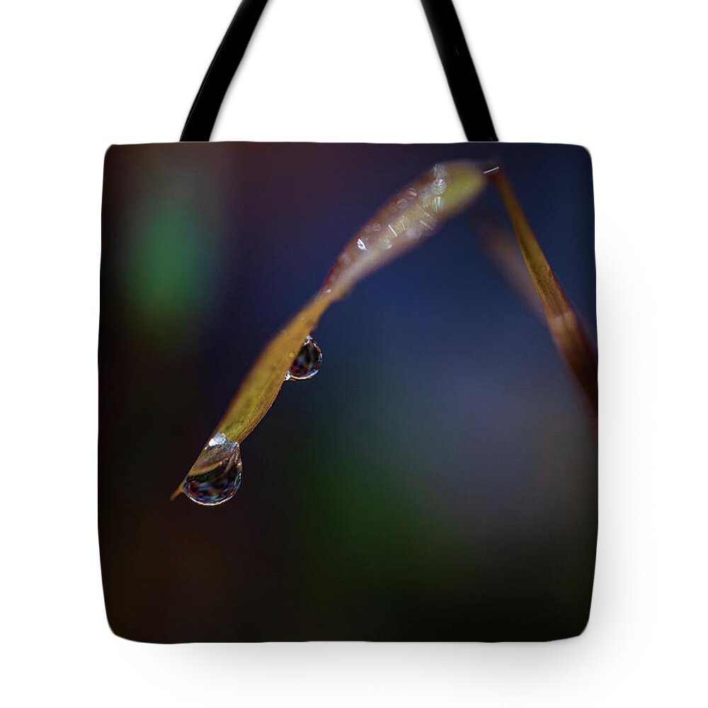 Fall Tote Bag featuring the photograph Macro Photography - Water Drops on Grass by Amelia Pearn