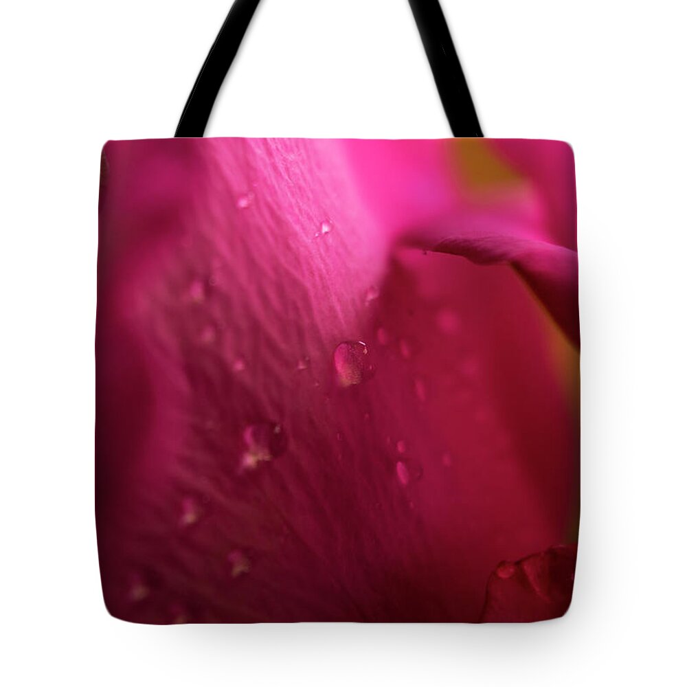 Beauty Tote Bag featuring the photograph Magenta Rose Macro #1 by K Bradley Washburn