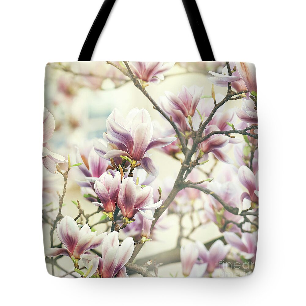 Magnolia Tote Bag featuring the photograph Magnolia Flower #1 by Jelena Jovanovic