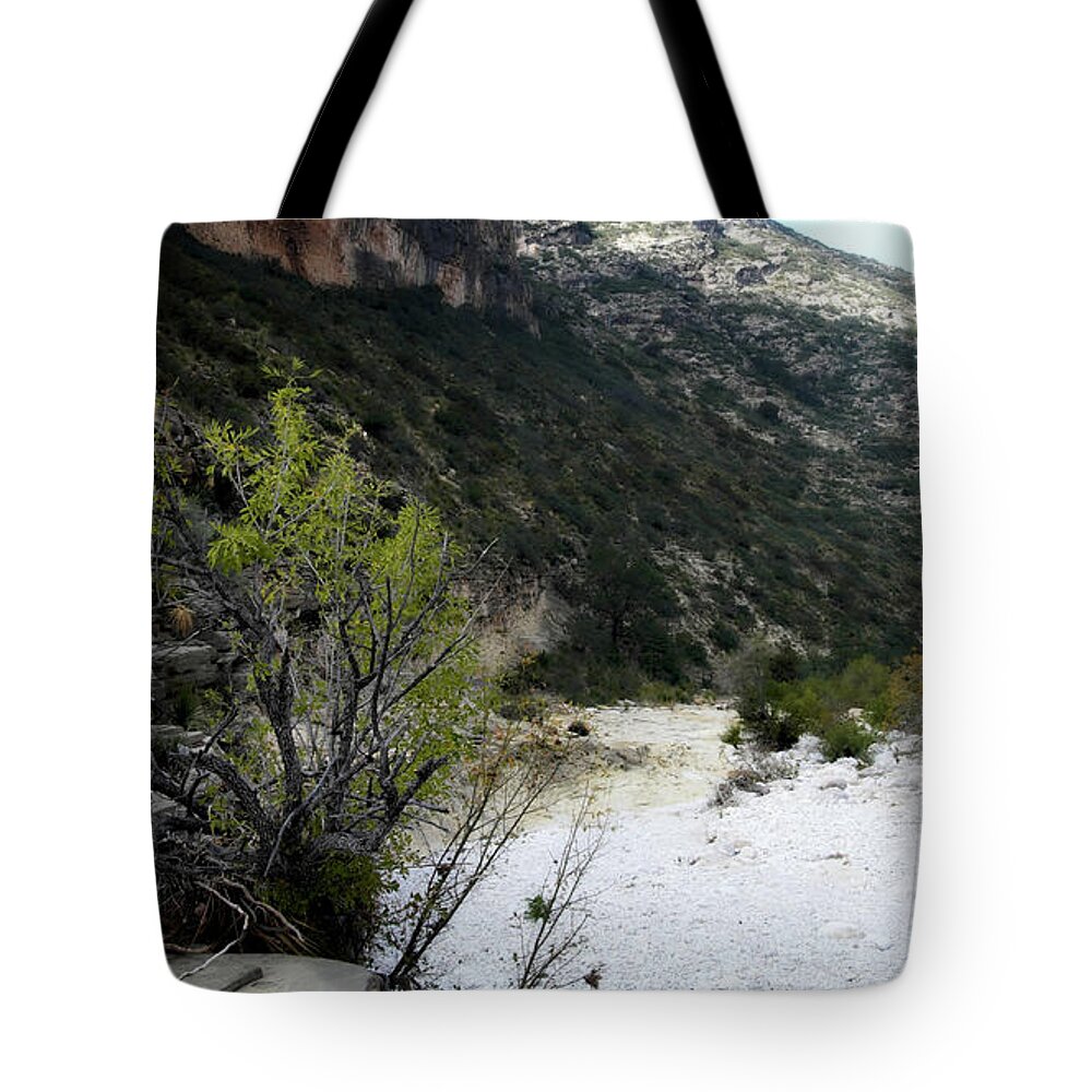 River Bed Tote Bag featuring the photograph McKittrick Canyon Trail #1 by George Taylor