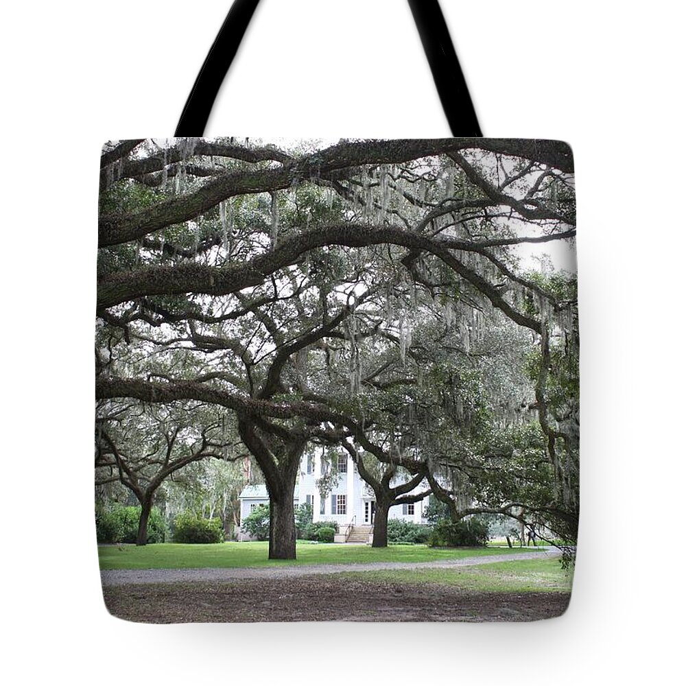 Mcleod Plantation Tote Bag featuring the photograph McLeod Plantation #1 by Flavia Westerwelle