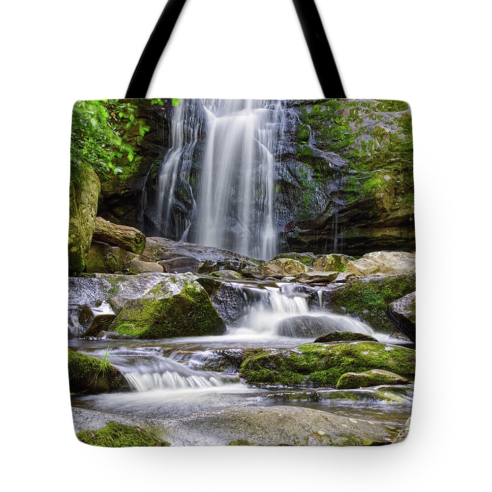 Smoky Mountains Tote Bag featuring the photograph Meigs Falls 9 by Phil Perkins