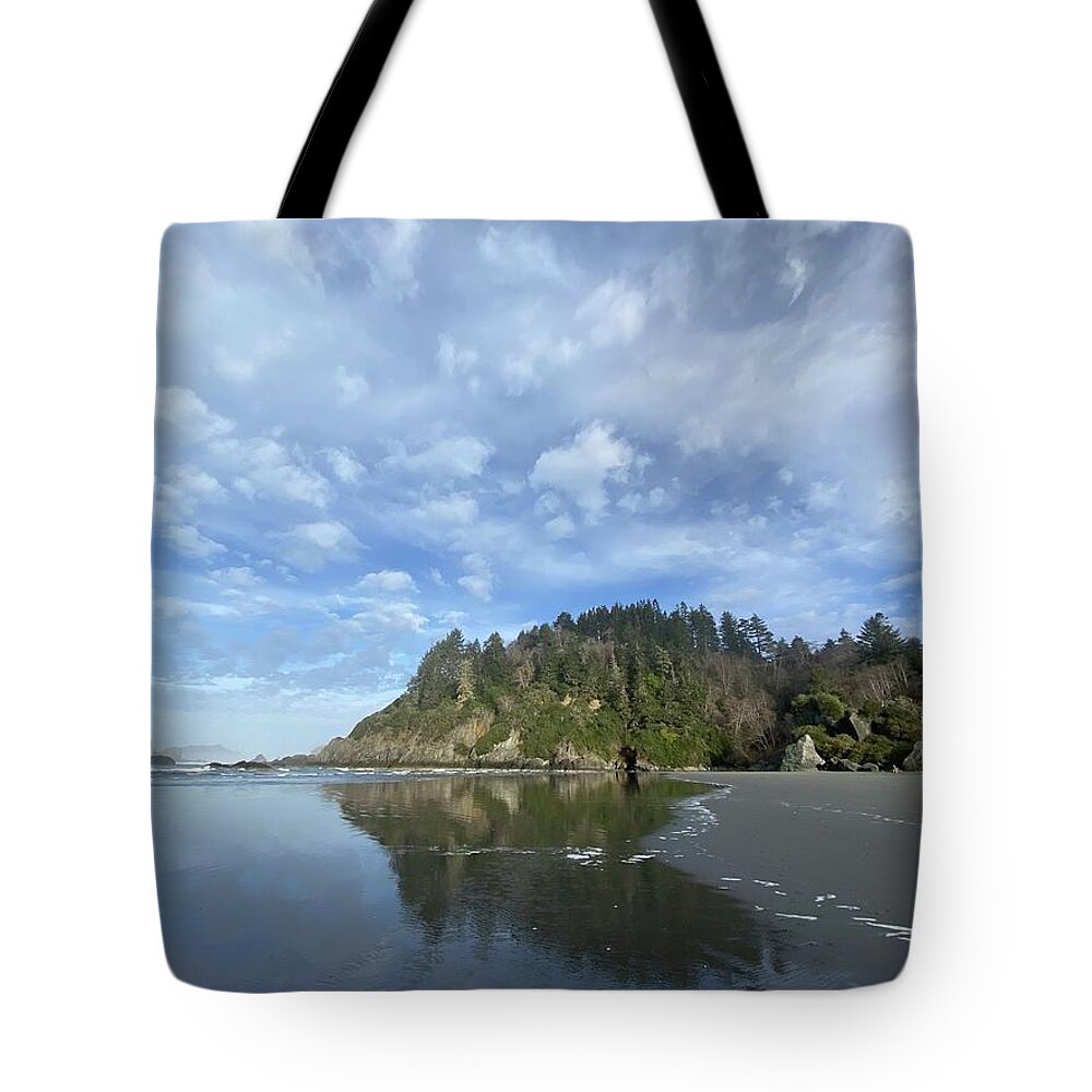 Moonstone Beach Tote Bag featuring the photograph Moonstone Beach #1 by Daniele Smith