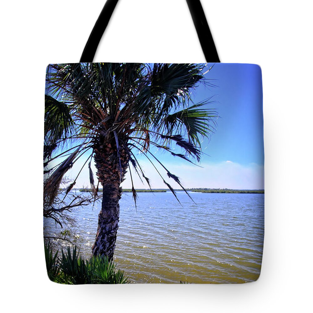 Lagoon Tote Bag featuring the photograph Mosquito Lagoon #1 by George Taylor