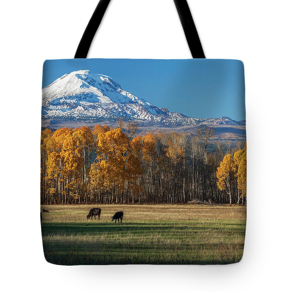 2021 Tote Bag featuring the photograph Fall Color in Washington by Patrick Campbell