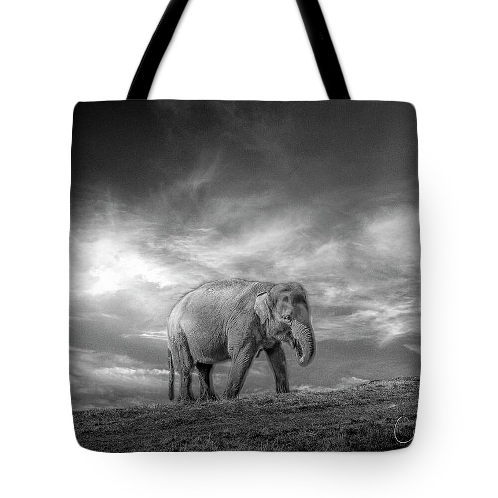 Elephant Tote Bag featuring the photograph Never Forget by Chris Boulton