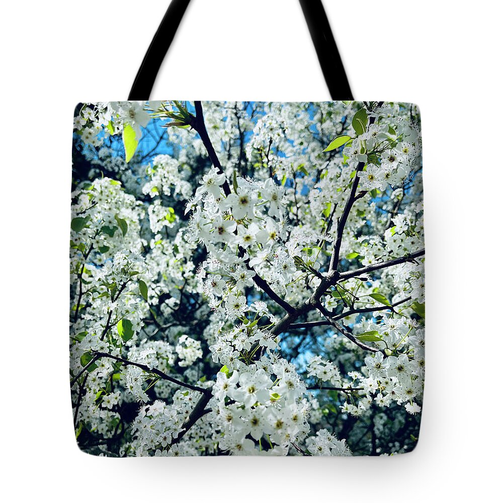 Springtime Tote Bag featuring the photograph New Beginnings #1 by Matthew Seufer