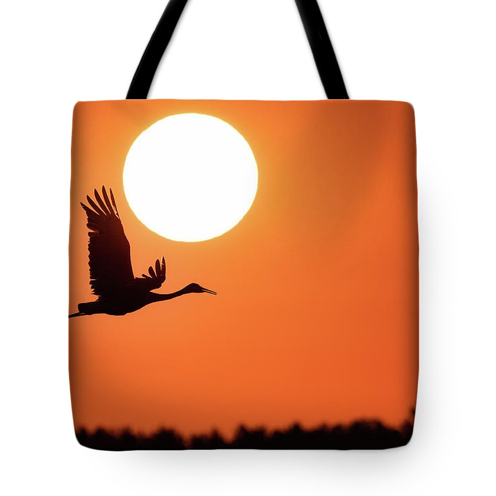 Crane Tote Bag featuring the photograph New Day #1 by Brad Bellisle
