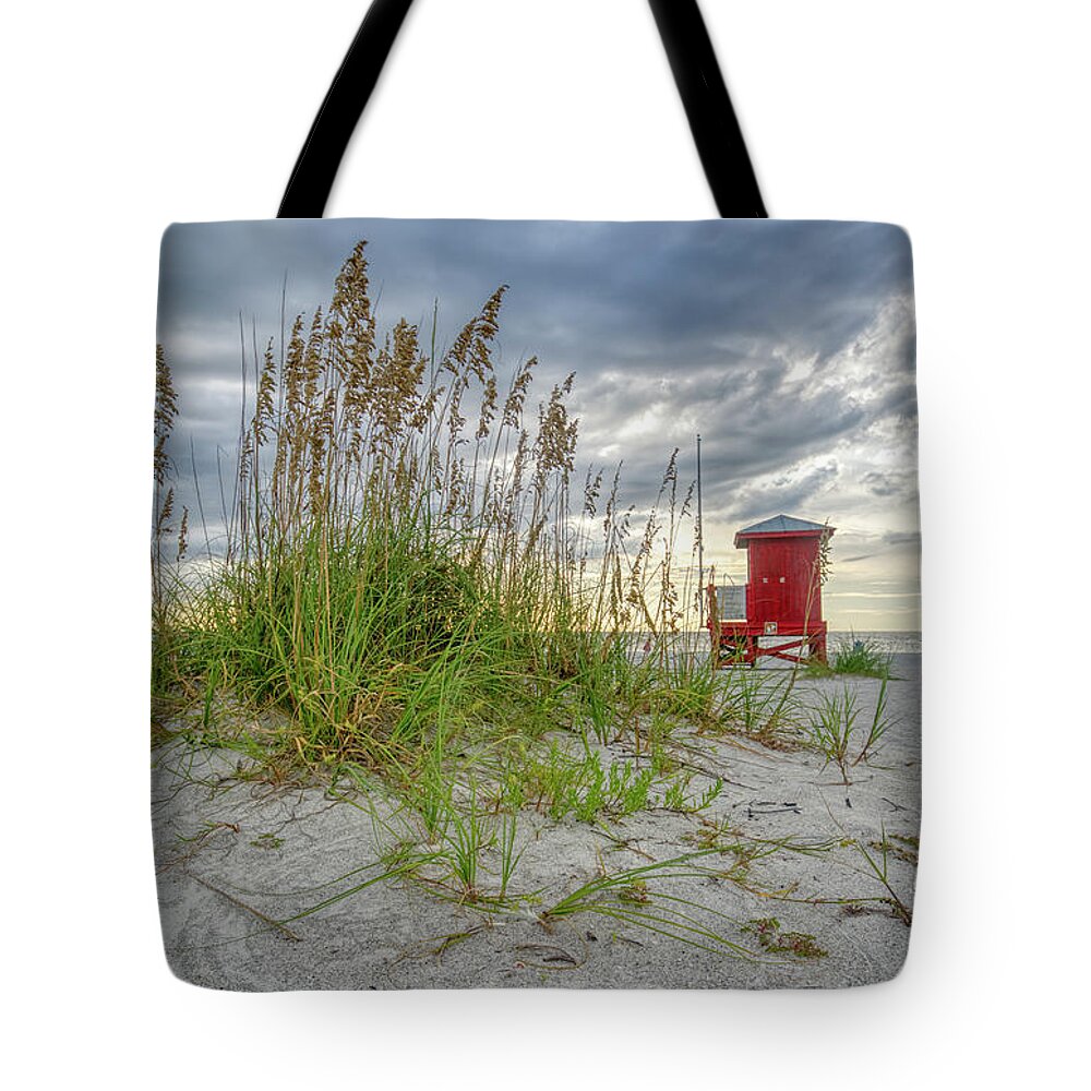 Dawn Tote Bag featuring the photograph On Guard #1 by Brian Kamprath