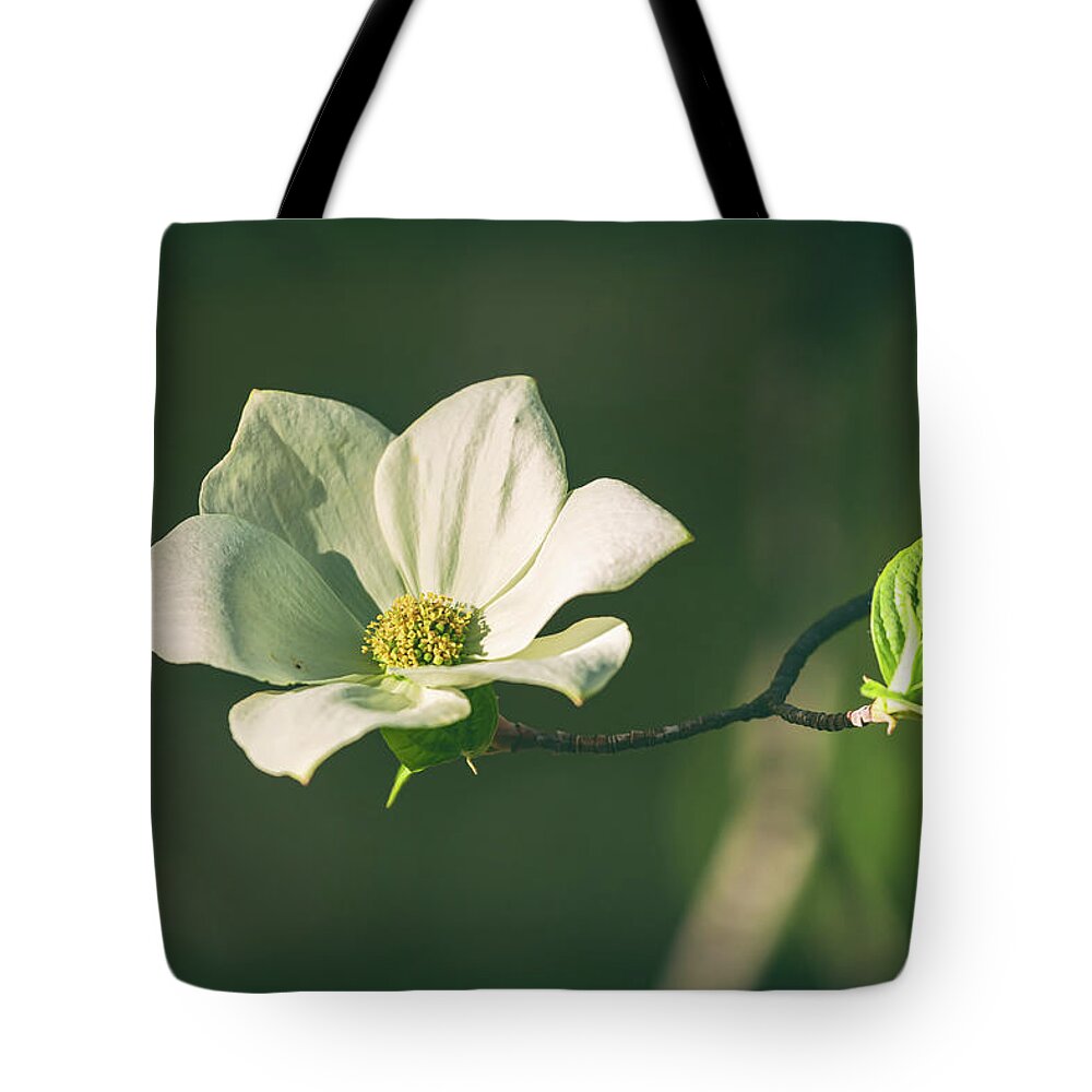 Yosemite National Park Tote Bag featuring the photograph One by Jonathan Nguyen