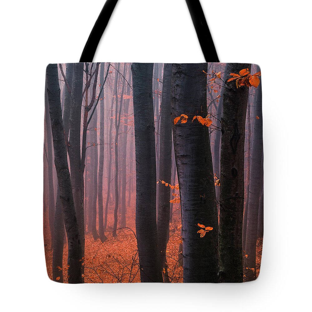Mountain Tote Bag featuring the photograph Orange Wood by Evgeni Dinev
