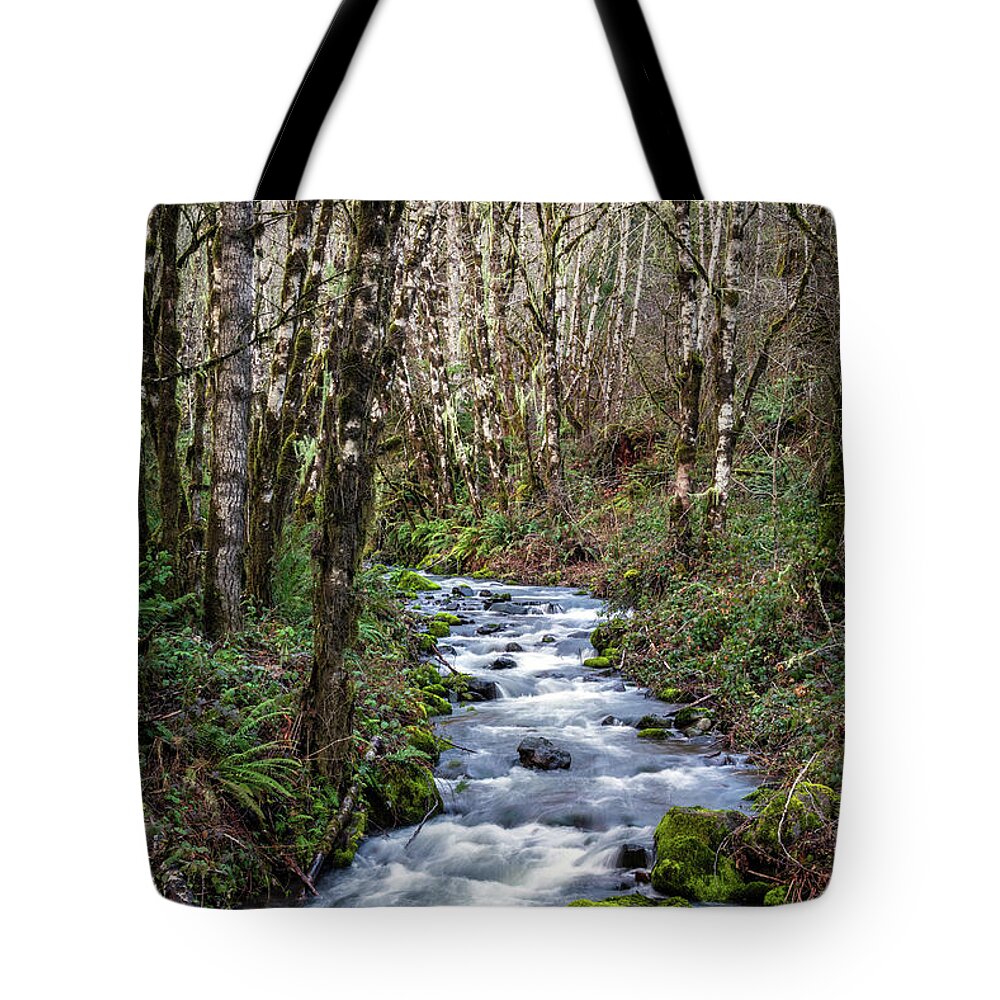 Oregon Mountain Stream Tote Bag featuring the photograph Oregon Mountain Stream and Alder Trees #1 by Catherine Avilez