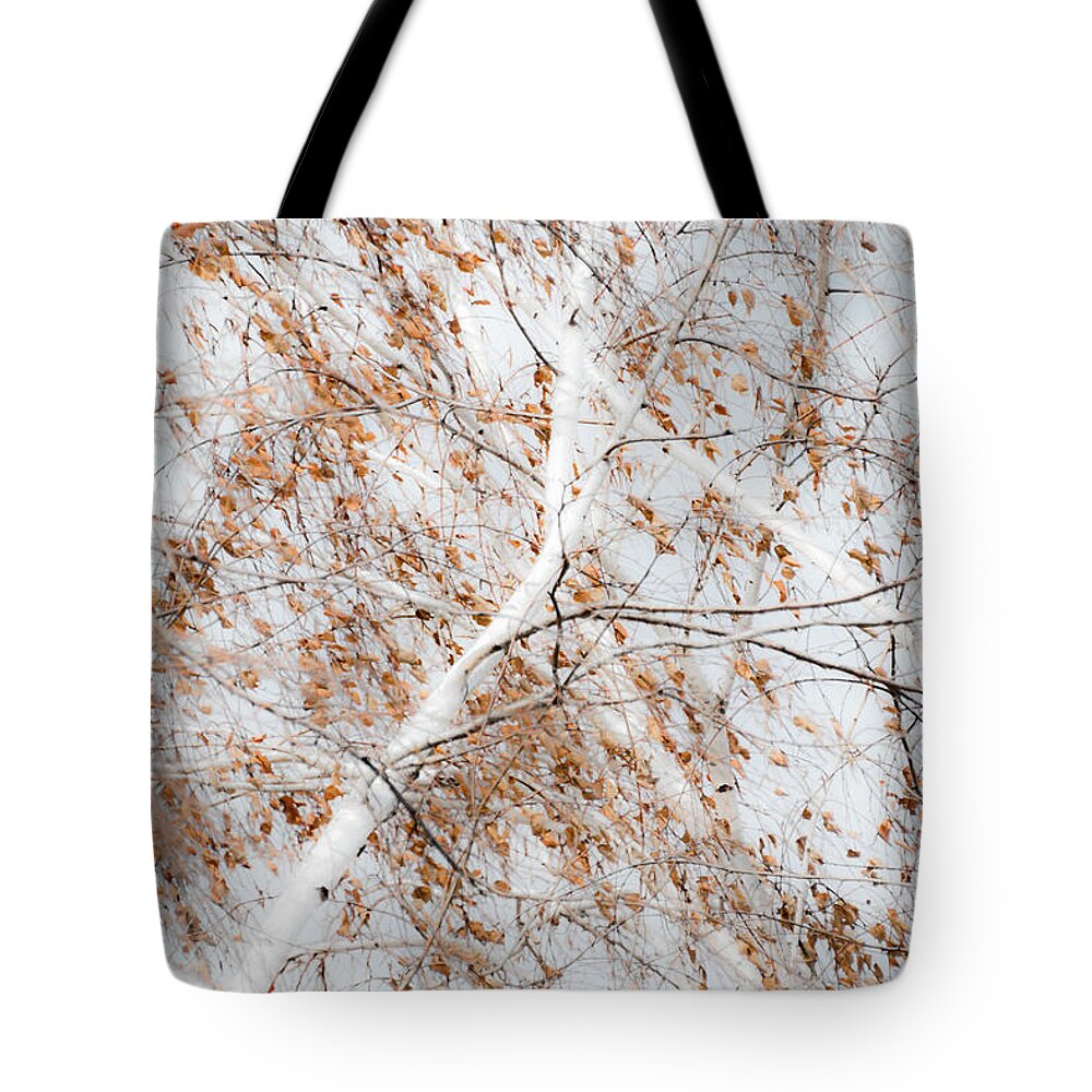 Passage Tote Bag featuring the photograph Passage - by Julie Weber
