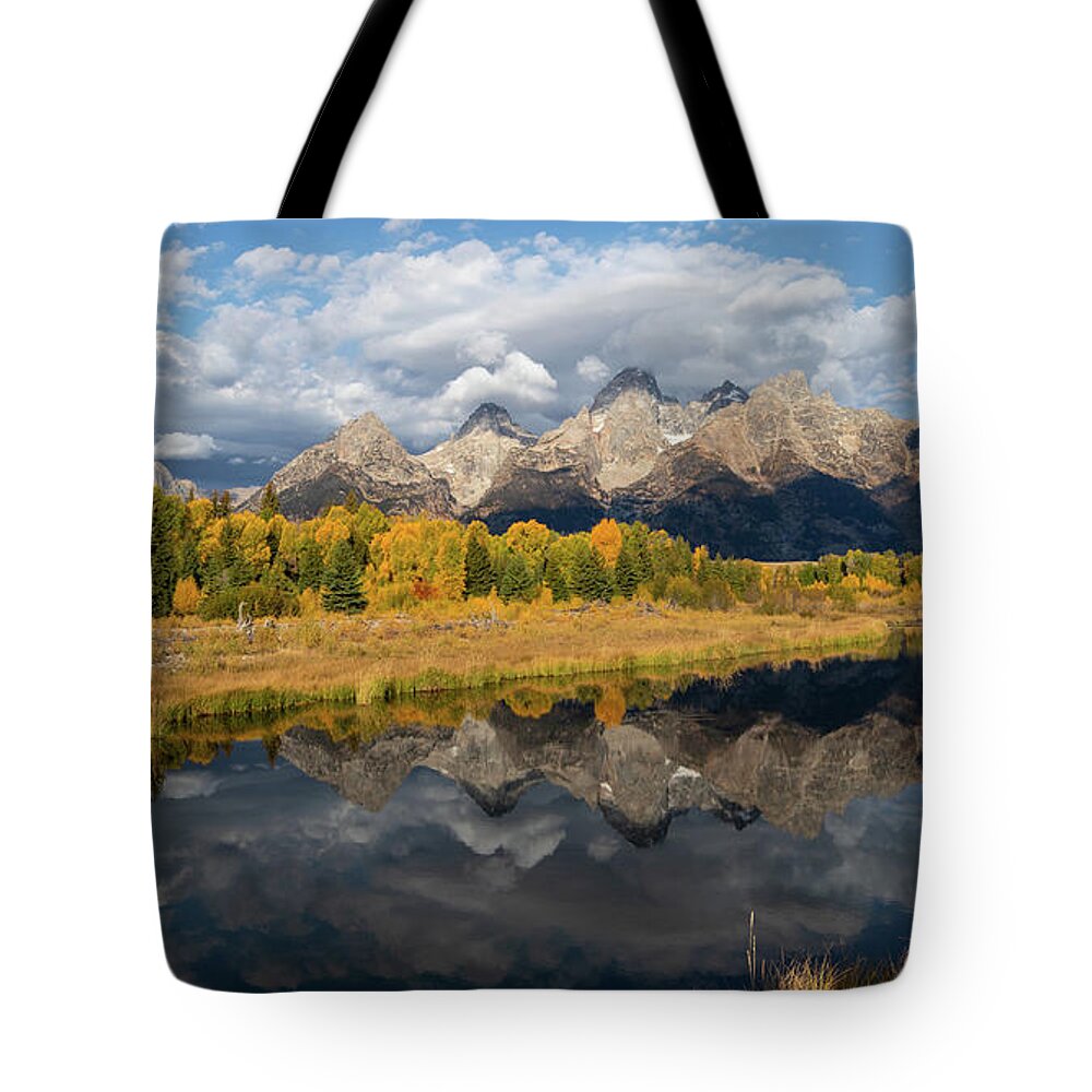 Scenery Tote Bag featuring the photograph Picture Perfect #1 by Ronnie And Frances Howard