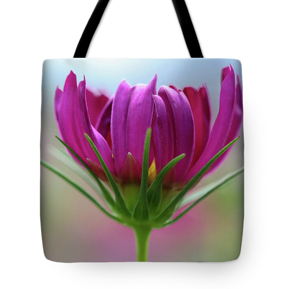 Flower Tote Bag featuring the photograph Poised Perfection by Mary Anne Delgado
