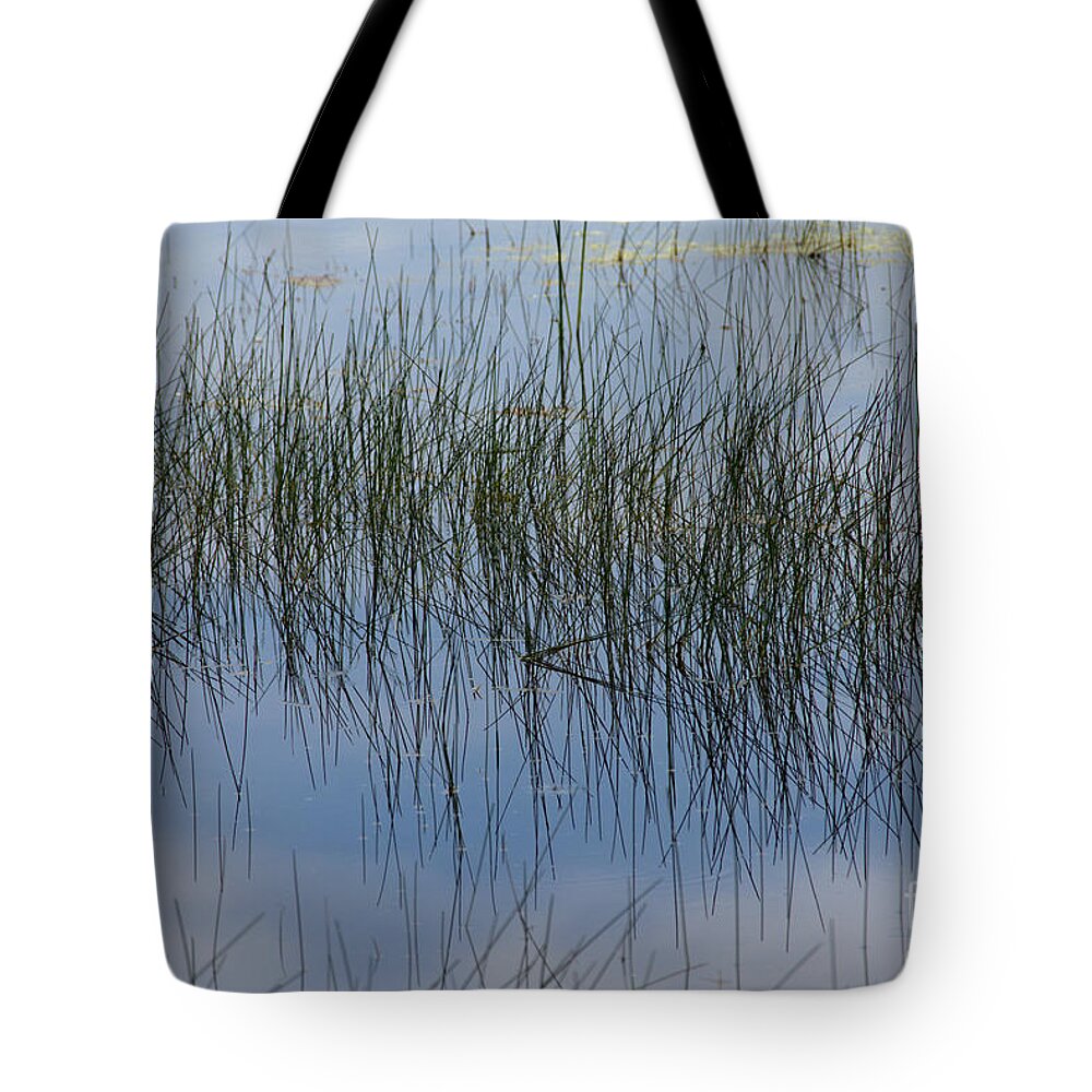 Pond Tote Bag featuring the photograph Pond Reflections by Kae Cheatham