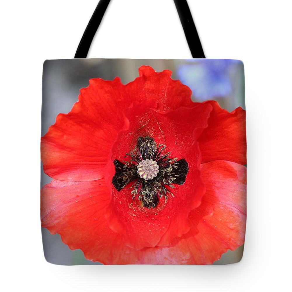 Background Tote Bag featuring the photograph Poppy #1 by Tom Conway