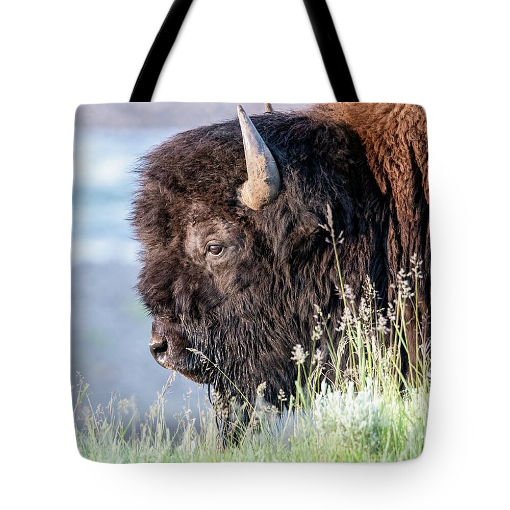 Photography Tote Bag featuring the photograph Profile of an American Bison by Constance Puttkemery