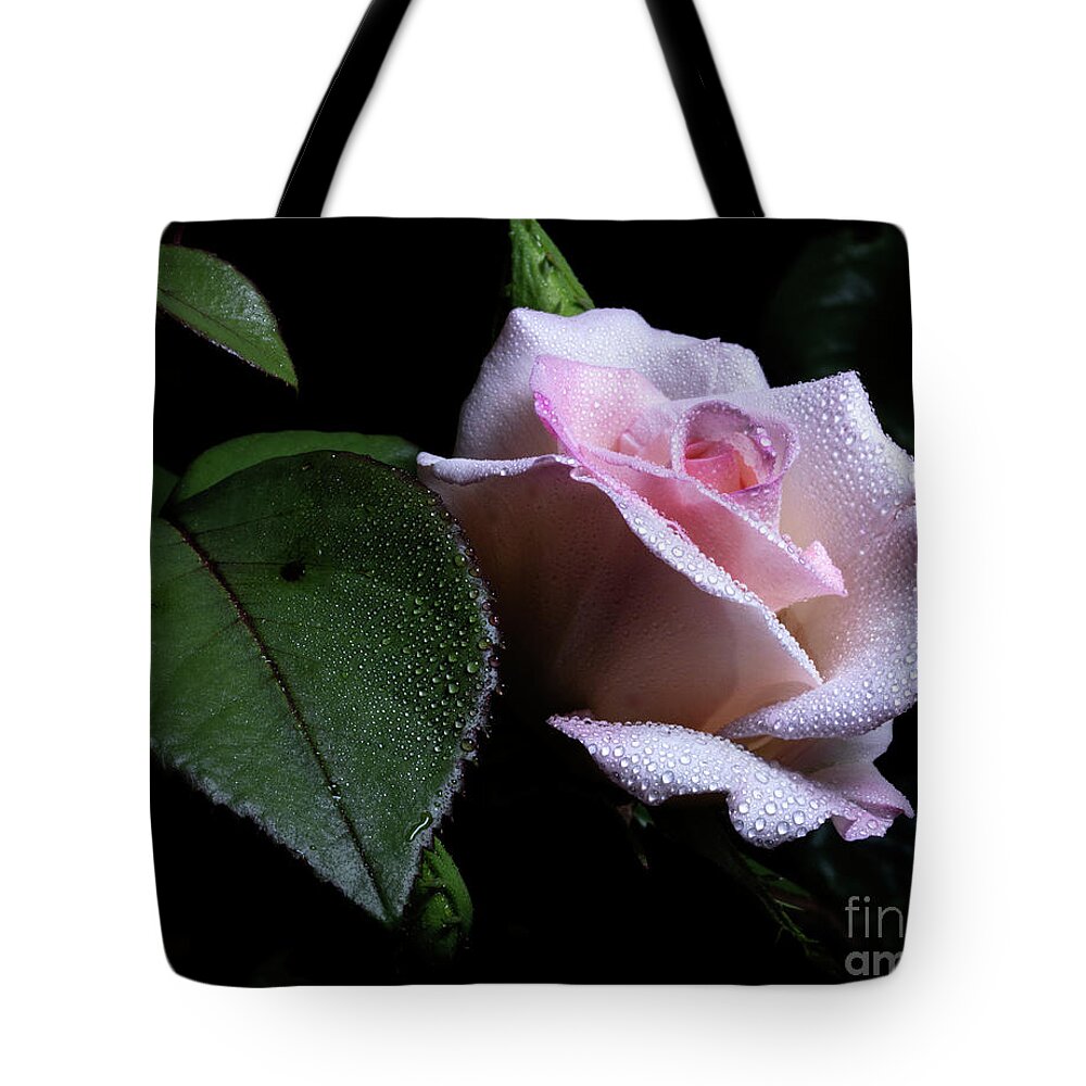Rose Tote Bag featuring the photograph Propinquity #1 by Doug Norkum