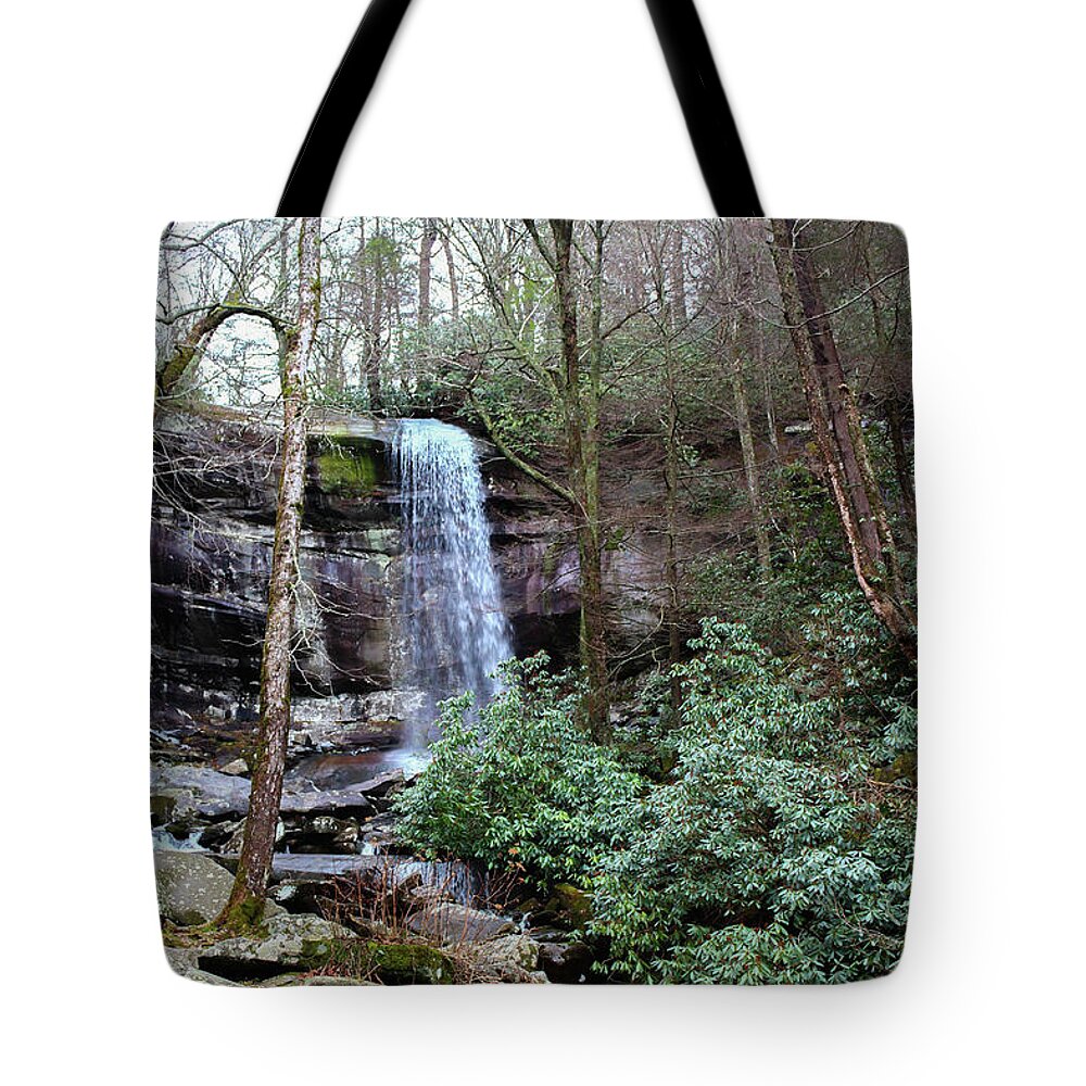 Rainbow Tote Bag featuring the photograph Rainbow Falls Trail 2 by Cindy Robinson