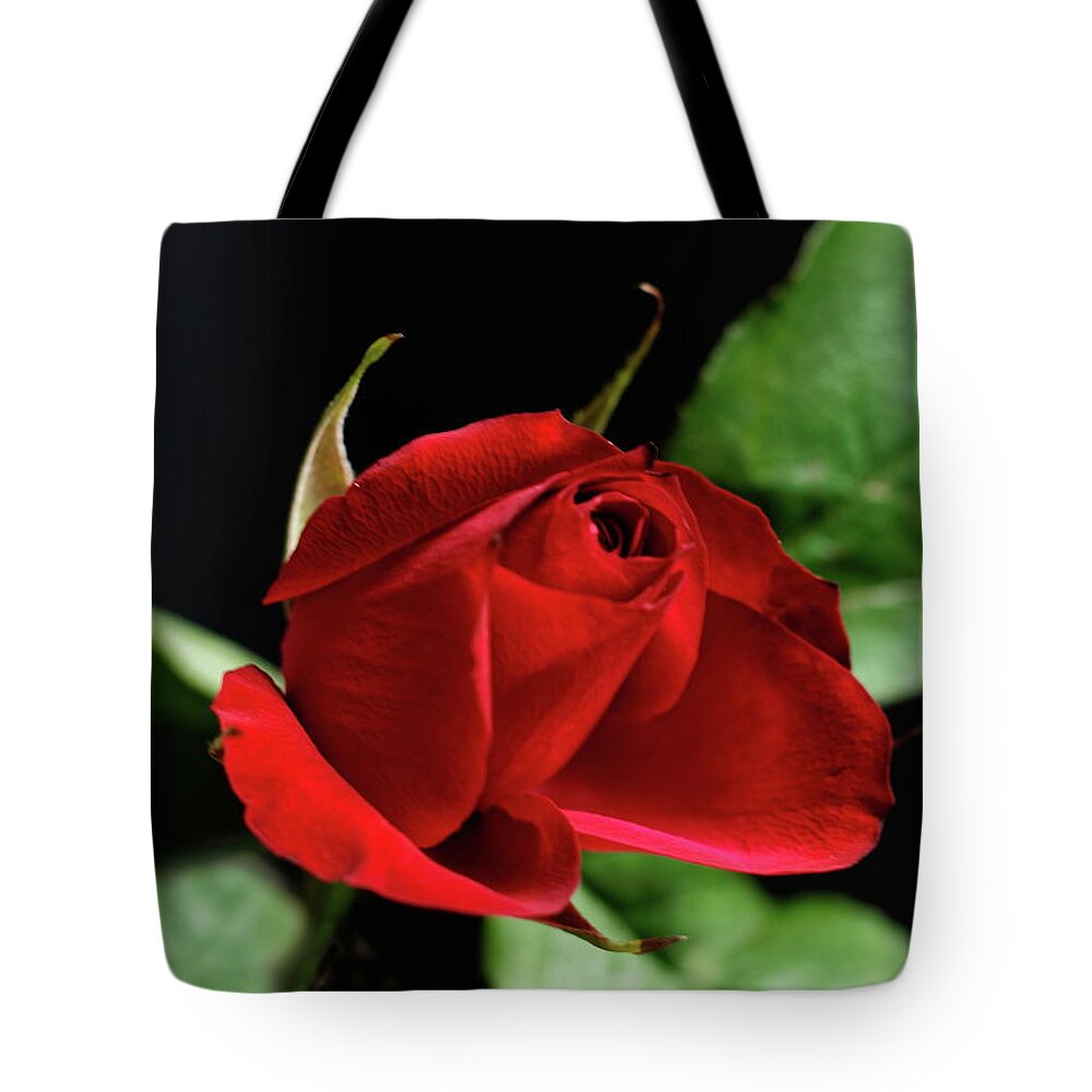Red Rose Tote Bag featuring the photograph Red Rose #1 by Jeff Townsend