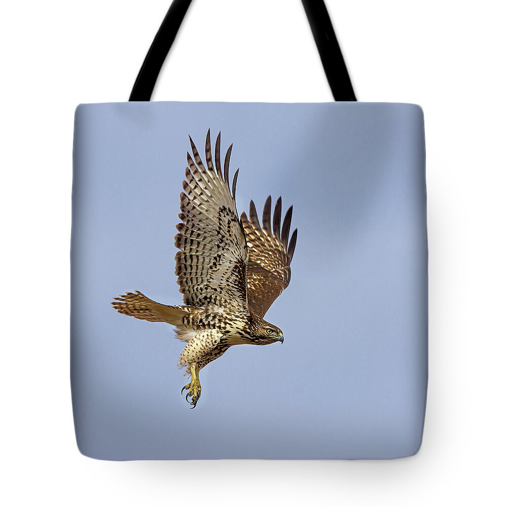 Raptor Tote Bag featuring the photograph Red Tailed Hawk 3 #1 by Rick Mosher