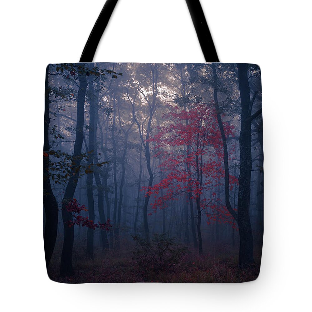 Balkan Mountains Tote Bag featuring the photograph Red Tree by Evgeni Dinev