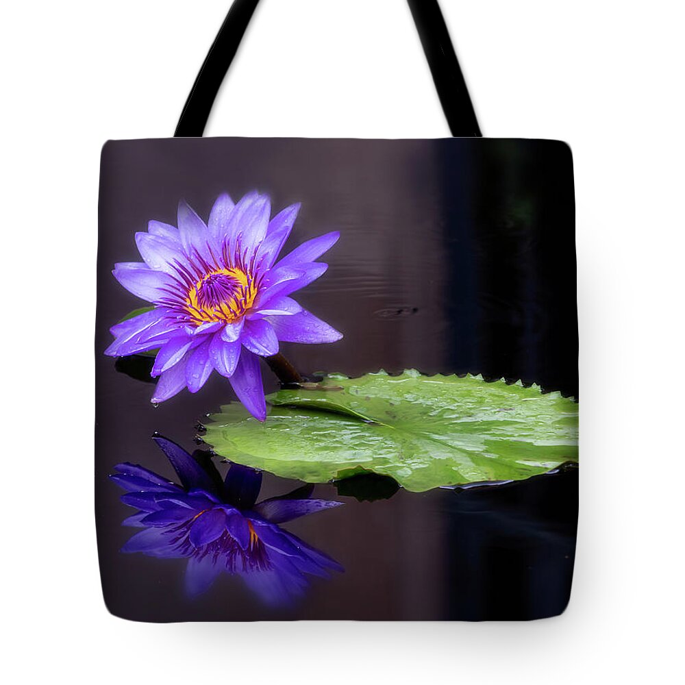 Floral Tote Bag featuring the photograph Reflecting #1 by Usha Peddamatham